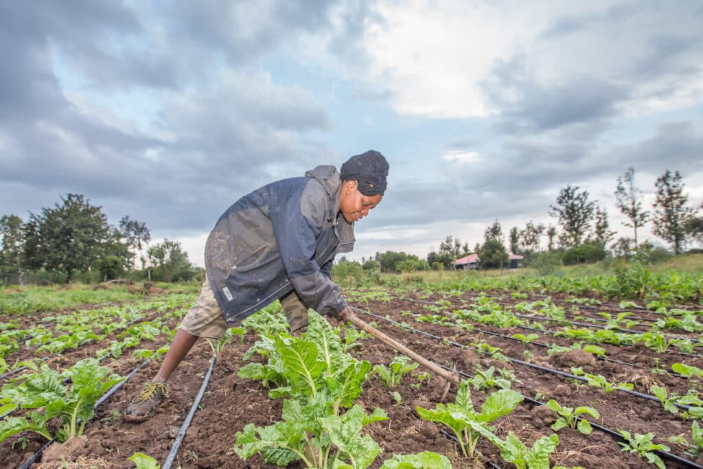 CommForDev_ShellFoundation_Kenya_SunCulture_028.jpg Woman tending to her field in Kenya