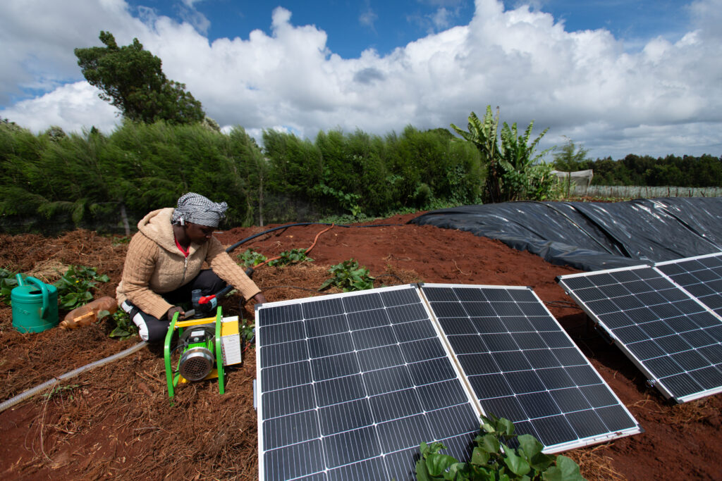Woman using a solar water pump